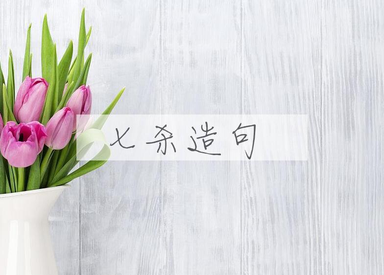 用七杀造句