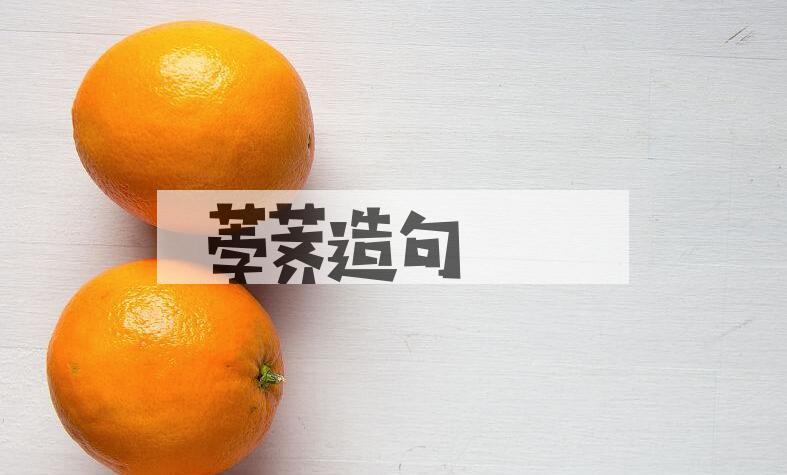 用荸荠造句