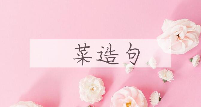 用菾菜造句