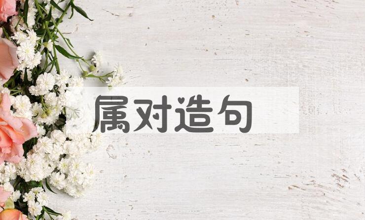 用属对造句