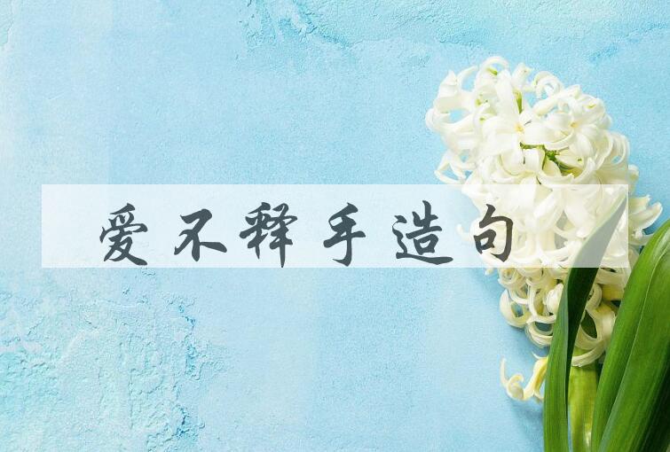 用爱不释手造句
