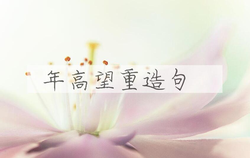 用年高望重造句