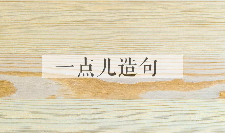 用一点儿造句