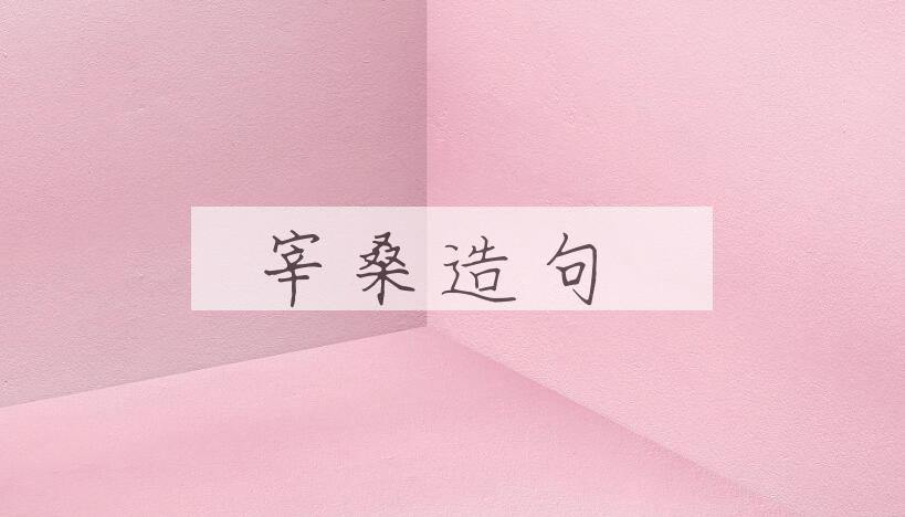 用宰桑造句