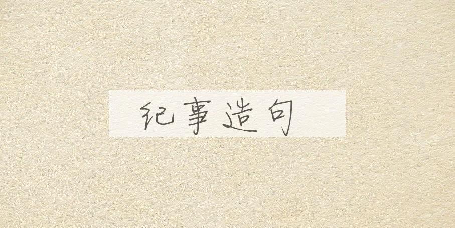 用纪事造句
