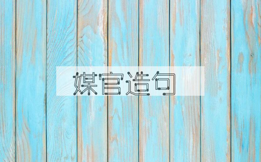 用媒官造句