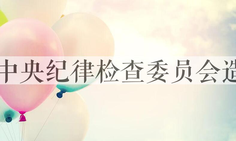 用中共中央纪律检查委员会造句