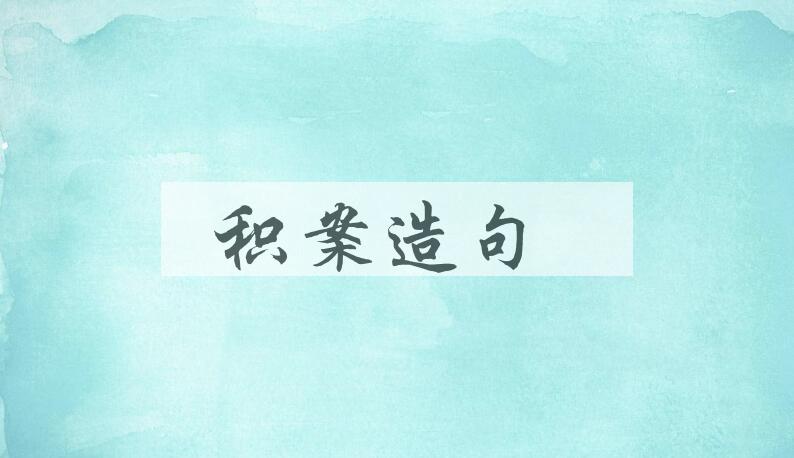 用积案造句