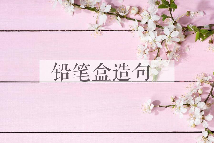 用铅笔盒造句