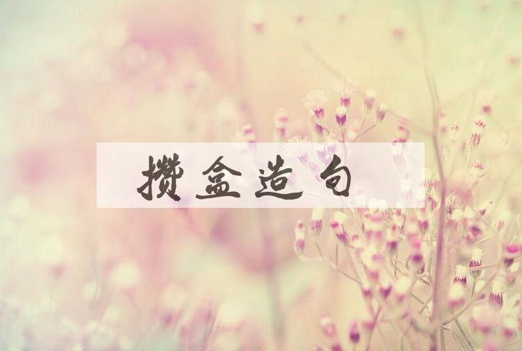 用攒盒造句