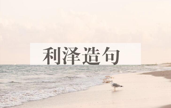 用利泽造句