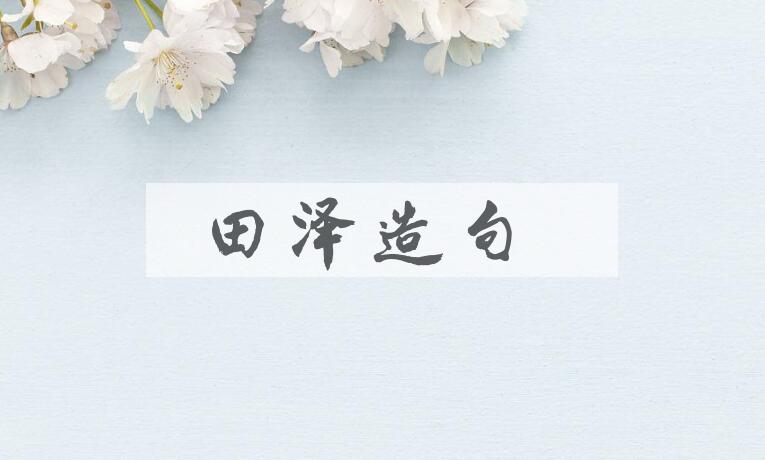 用田泽造句