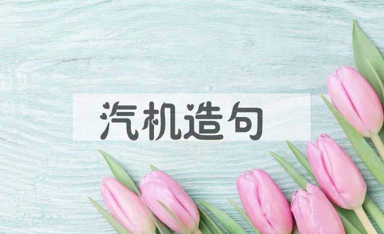 用汽机造句