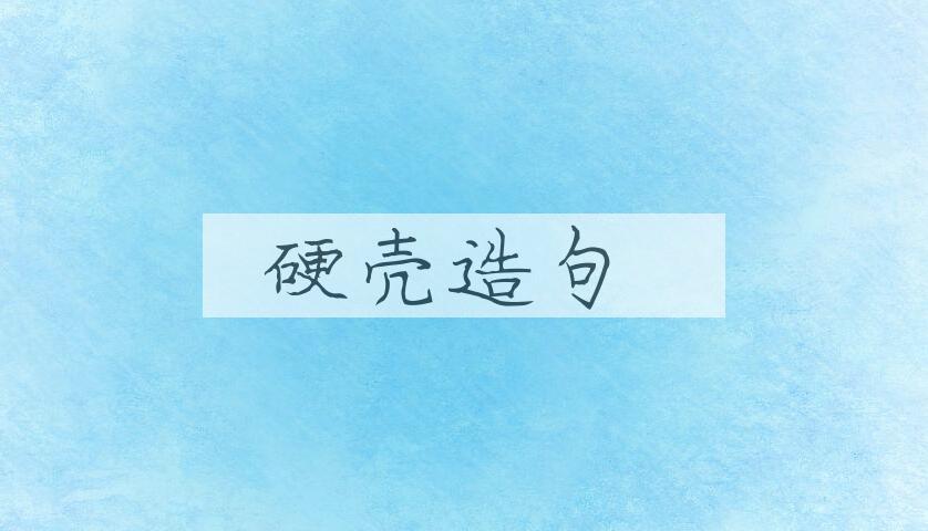 用硬壳造句