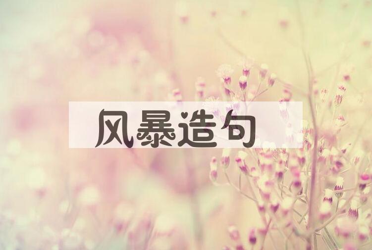 用风暴造句