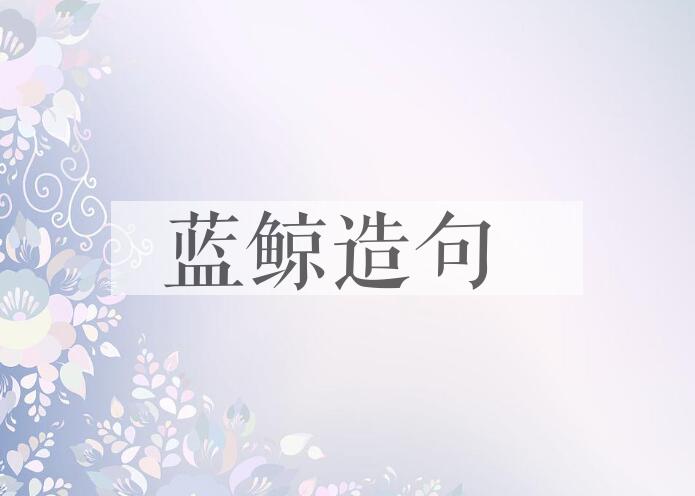 用蓝鲸造句