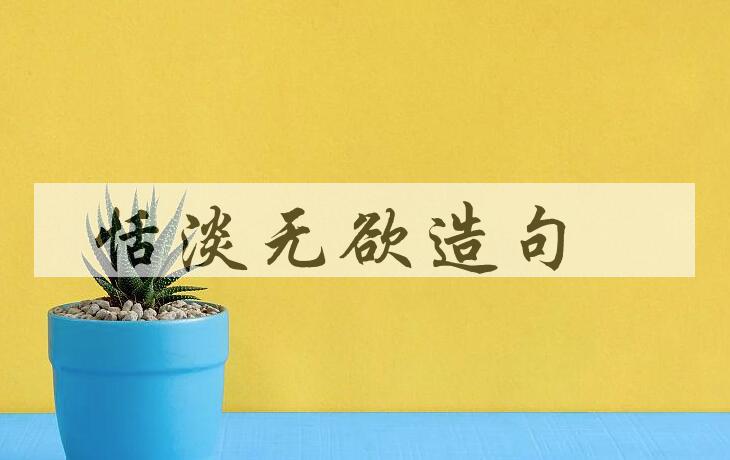 用恬淡无欲造句