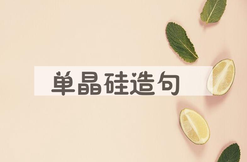 用单晶硅造句