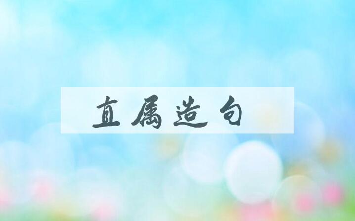 用直属造句