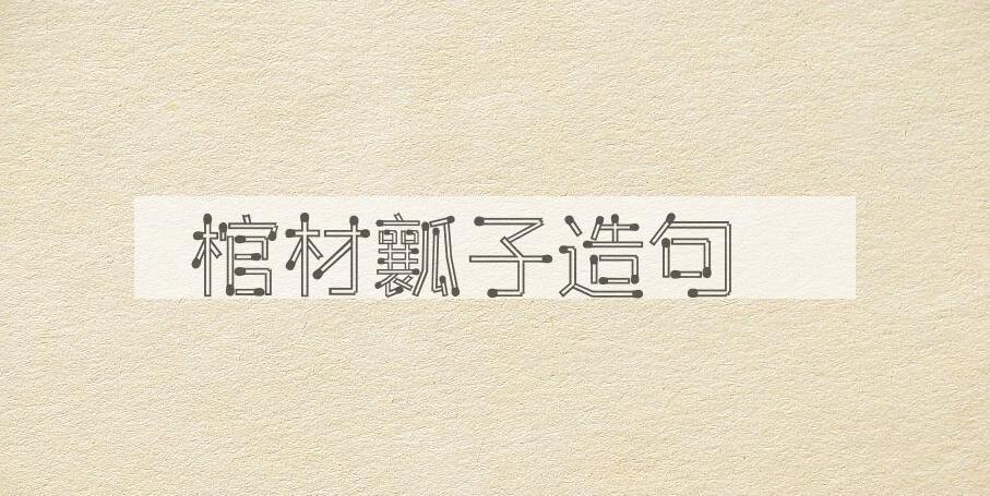 用棺材瓤子造句