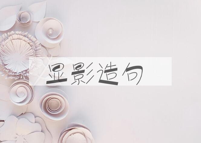 用显影造句