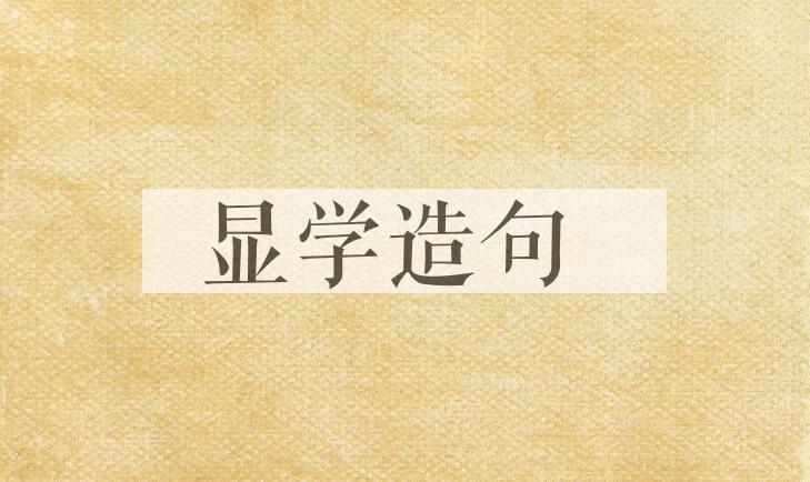 用显学造句