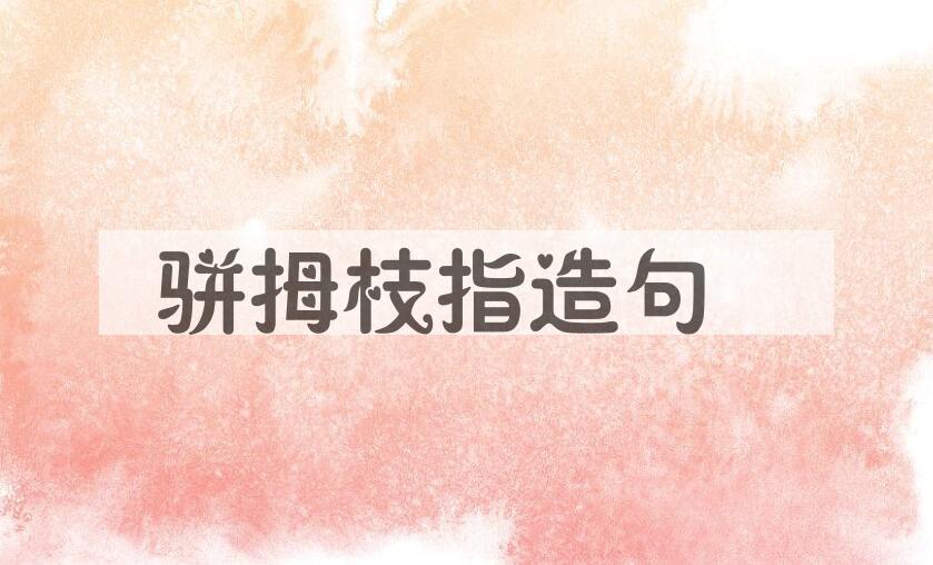 用骈拇枝指造句