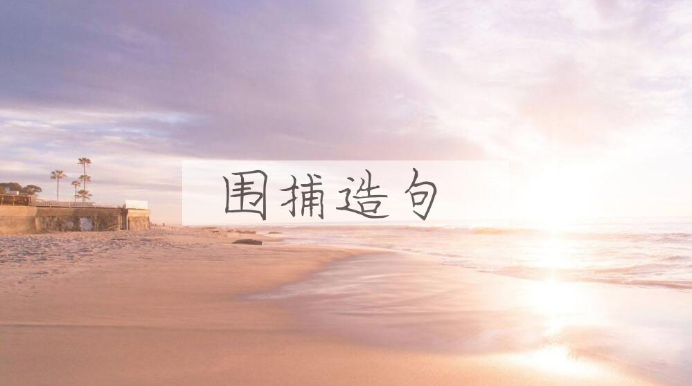 用围捕造句