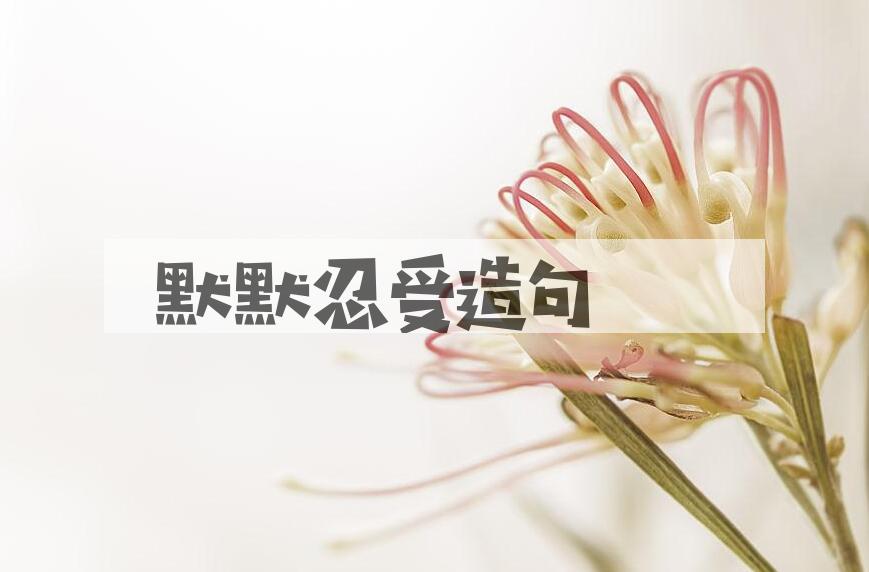 用默默忍受造句