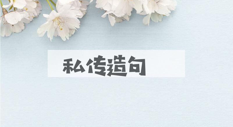 用私传造句