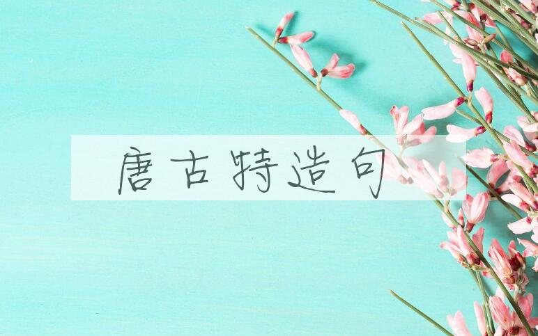 用唐古特造句