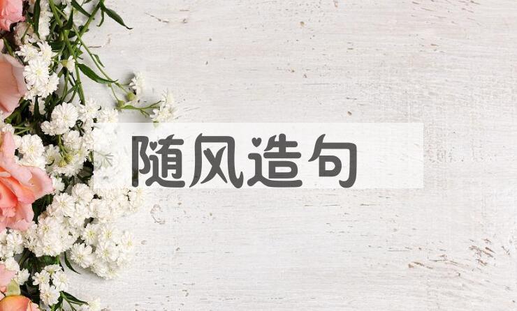 用随风造句