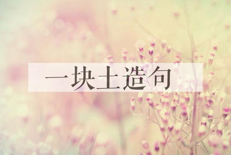 用一块土造句