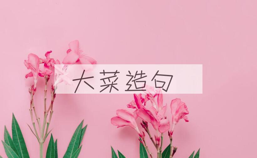用大菜造句