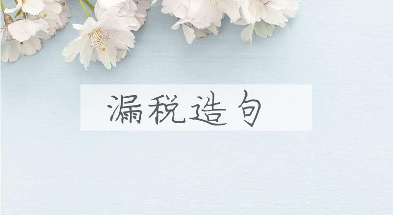 用漏税造句