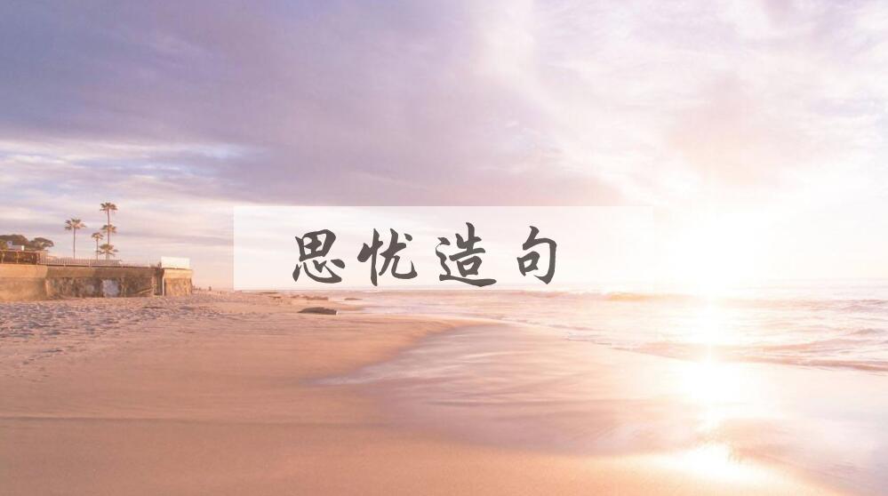 用思忧造句