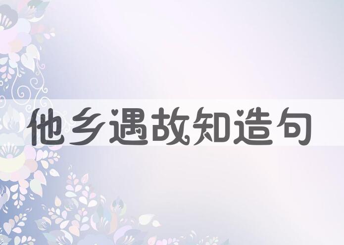 用他乡遇故知造句