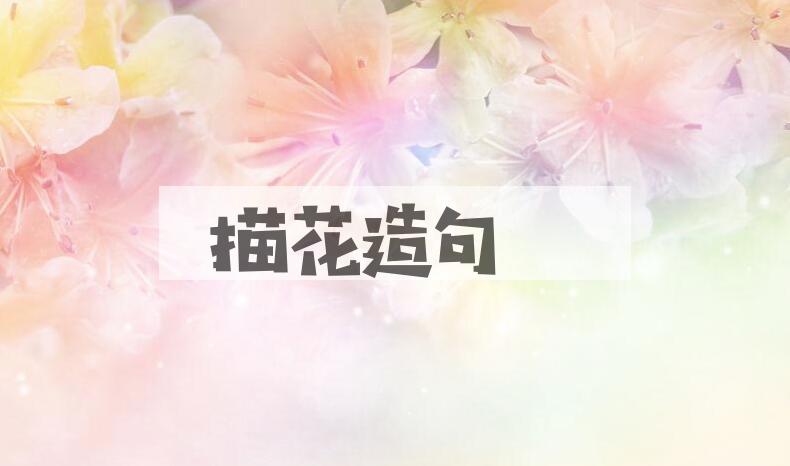 用描花造句
