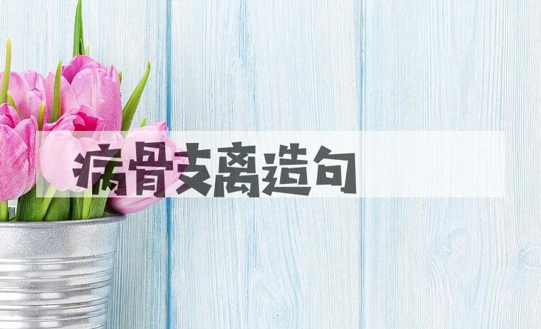 用病骨支离造句