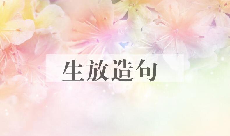 用生放造句