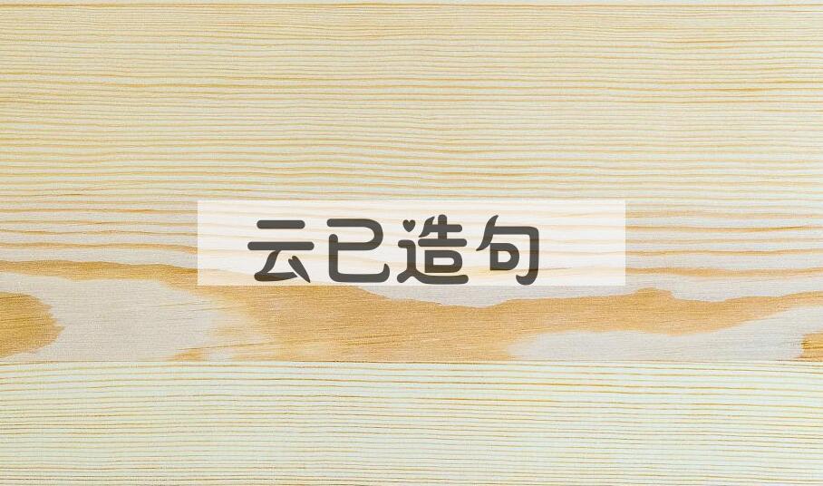 用云已造句