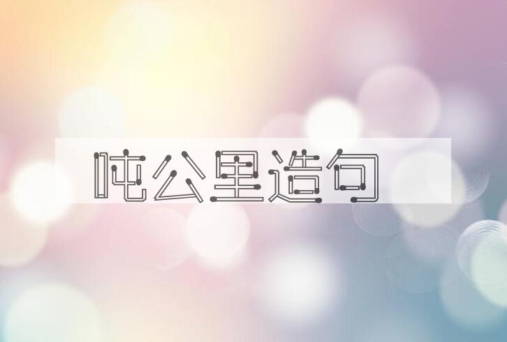 用吨公里造句