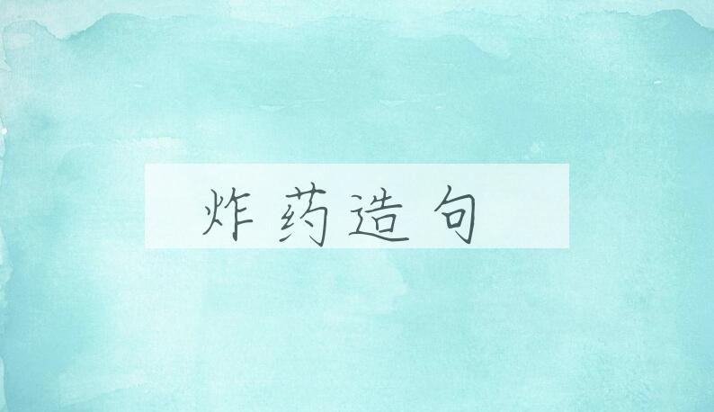 用炸药造句