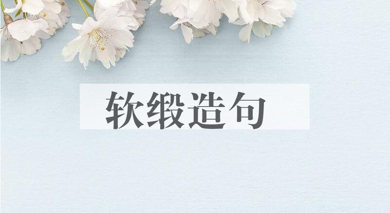 用软缎造句