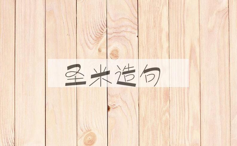 用圣米造句