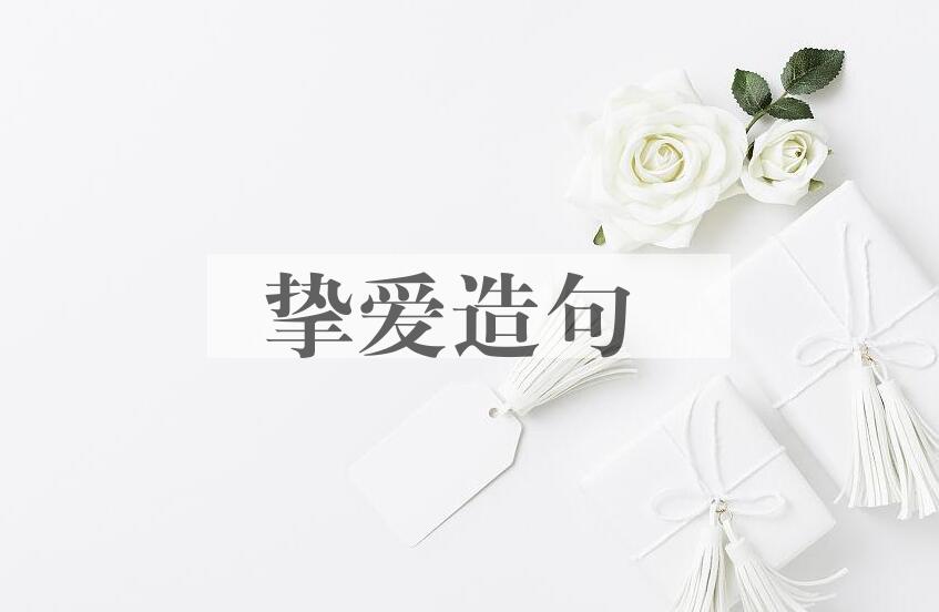 用挚爱造句