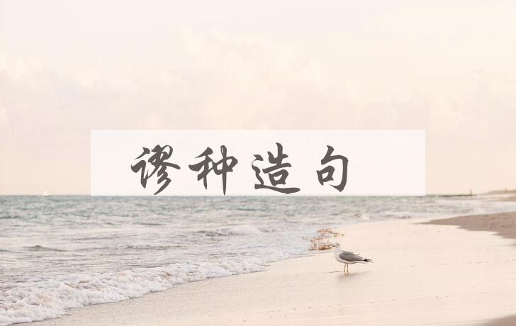 用谬种造句