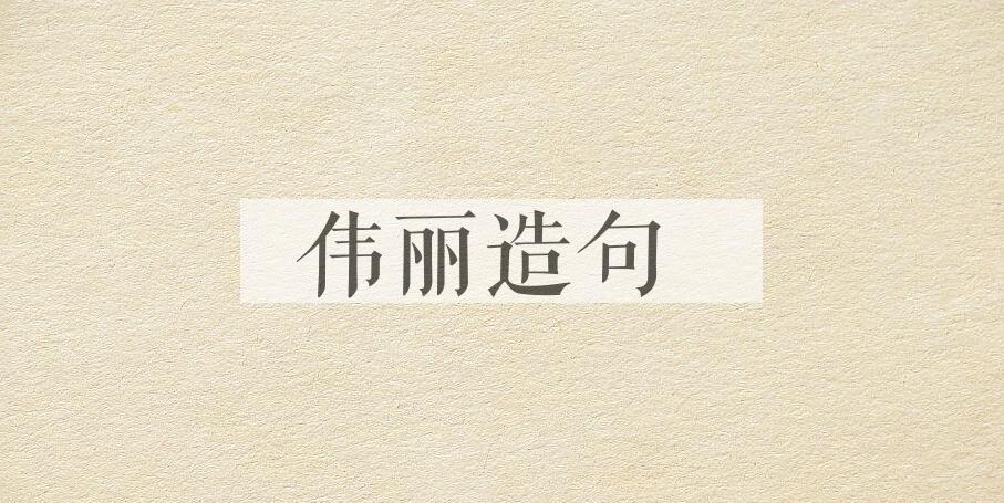 用伟丽造句