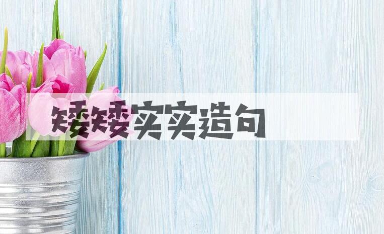 用矮矮实实造句