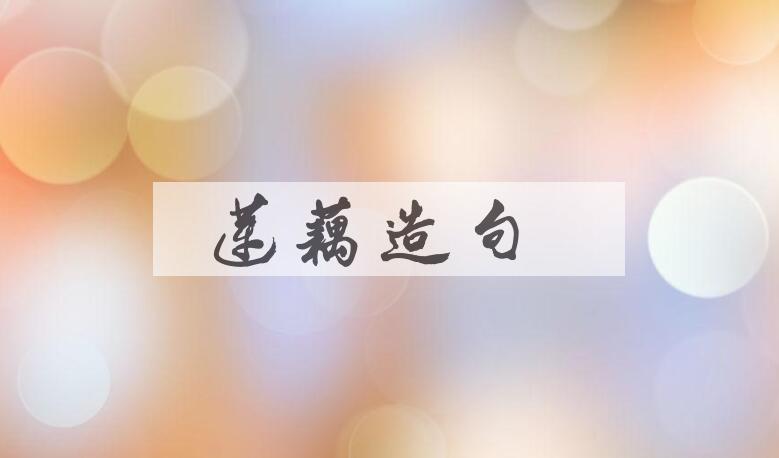 用莲藕造句